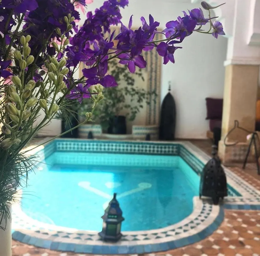 Riad Hotel Les Jardins Mandaline Marakéš