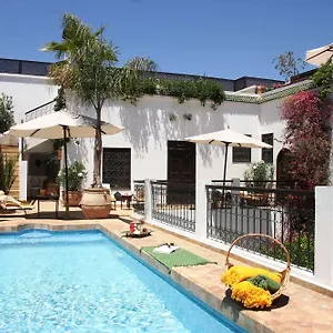 Clementine Marrakesh